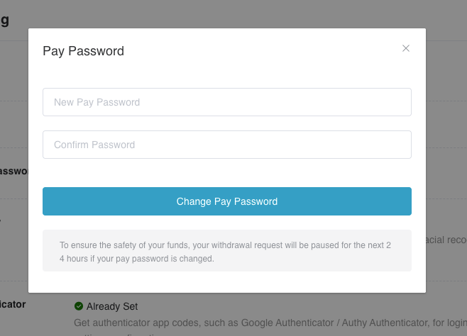 Pay Password dialog showing the new-password and confirmation fields